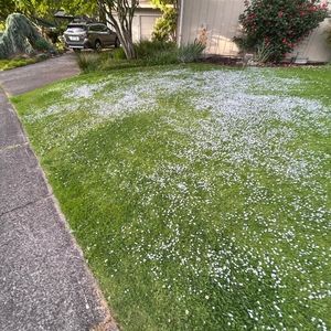 Meet your Posher, Travis